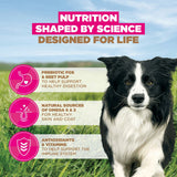 Eukanuba Grain Free Small/Medium Adult Dog Chicken Dry Food - 12kg
