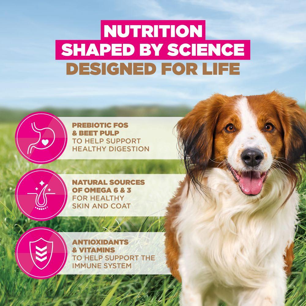Eukanuba Grain Free Small/Medium Adult Dog Lamb Dry Food - 12kg