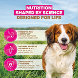 Eukanuba Grain Free Small/Medium Adult Dog Lamb Dry Food - 12kg