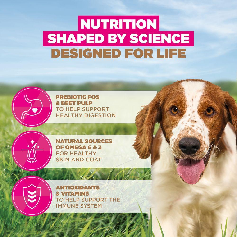Eukanuba Grain Free Small/Medium Adult Dog Ocean Fish Dry Food - 12kg