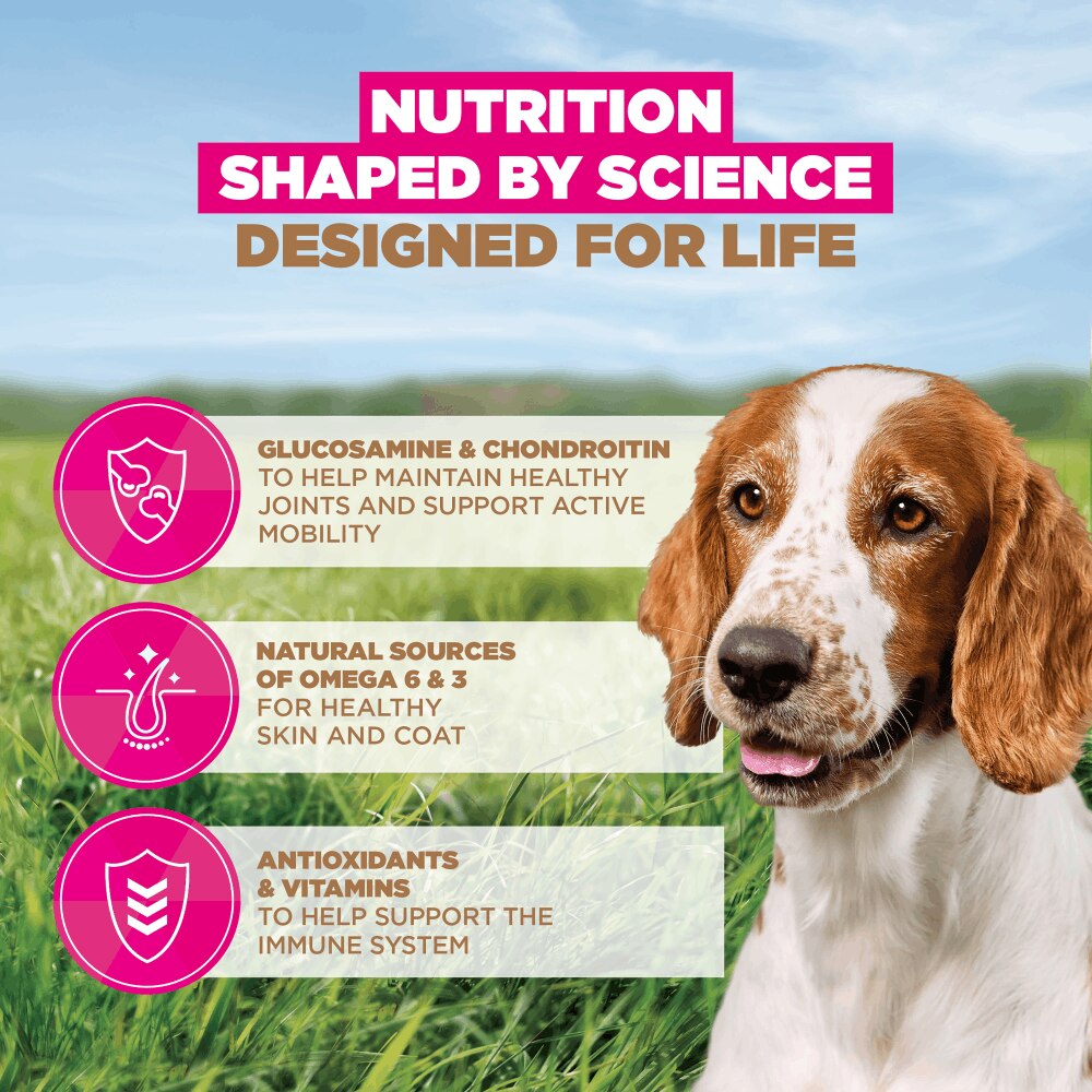 Eukanuba Grain Free Small/Medium Senior Dog Ocean Fish Dry Food - 12kg