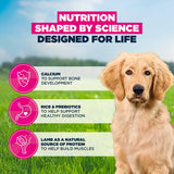 Eukanuba Puppy Large Breed Lamb & Rice Dry Dog Food - 12kg