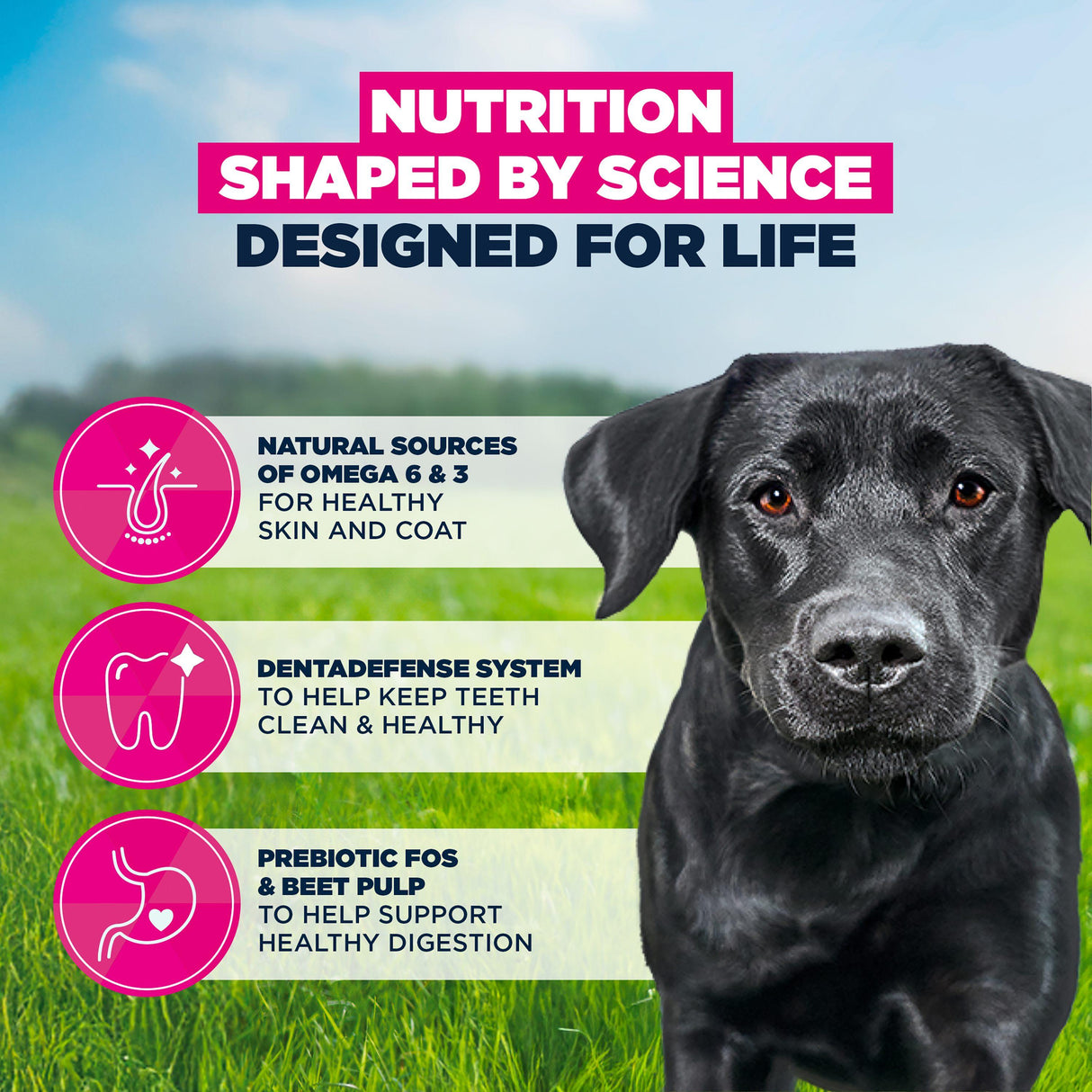 Eukanuba Large Breed Active Adult Chicken Dry Dog Food- 12kg