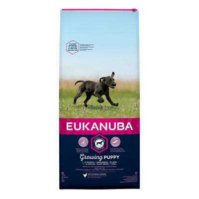 Eukanuba Growing Puppy Large Breed Chicken Dry Dog Food - 2kg