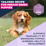 Eukanuba Puppy Medium Dry Dog Food Chicken 12kg