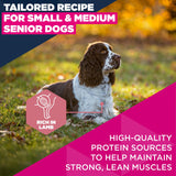 Eukanuba Senior & Mature Lamb & Rice Small & Medium Breeds Dry Dog Food - 12kg