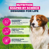 Eukanuba Senior & Mature Lamb & Rice Small & Medium Breeds Dry Dog Food - 12kg