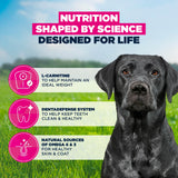 Eukanuba Mature Large Breed Dry Dog Food Chicken -12kg