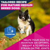 Eukanuba Mature Medium Breed Dry Dog Food Chicken - 12kg