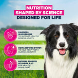 Eukanuba Mature Medium Breed Dry Dog Food Chicken - 12kg