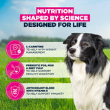 Eukanuba Senior Medium Breed Chicken Dog Food - 12kg
