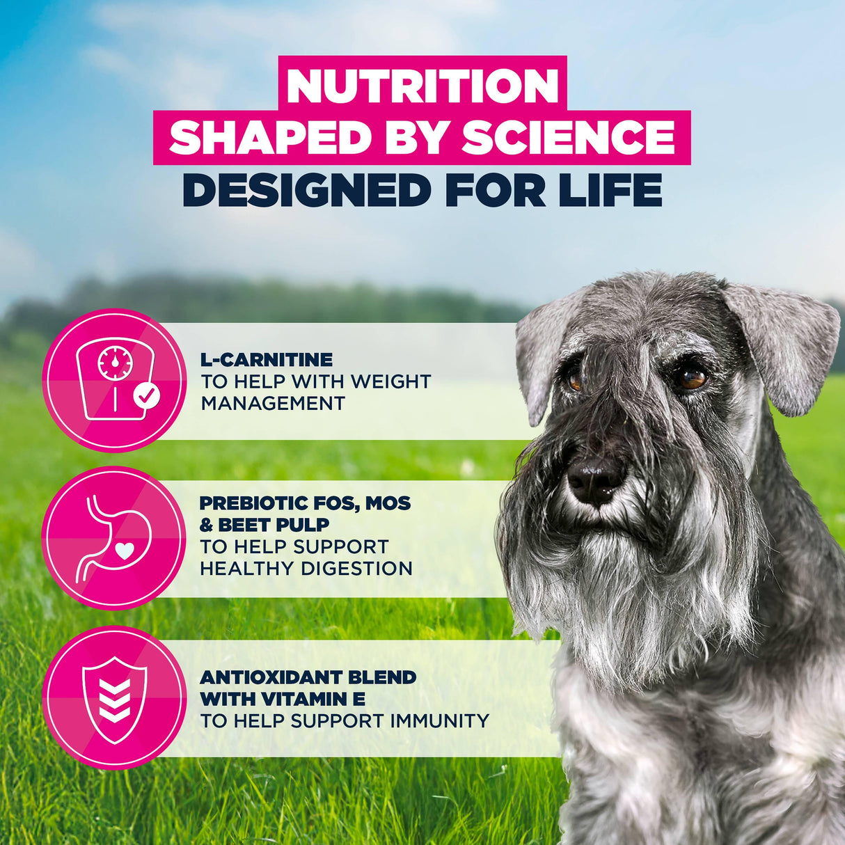 Eukanuba Senior Small Breed Chicken Dog Food - 12kg