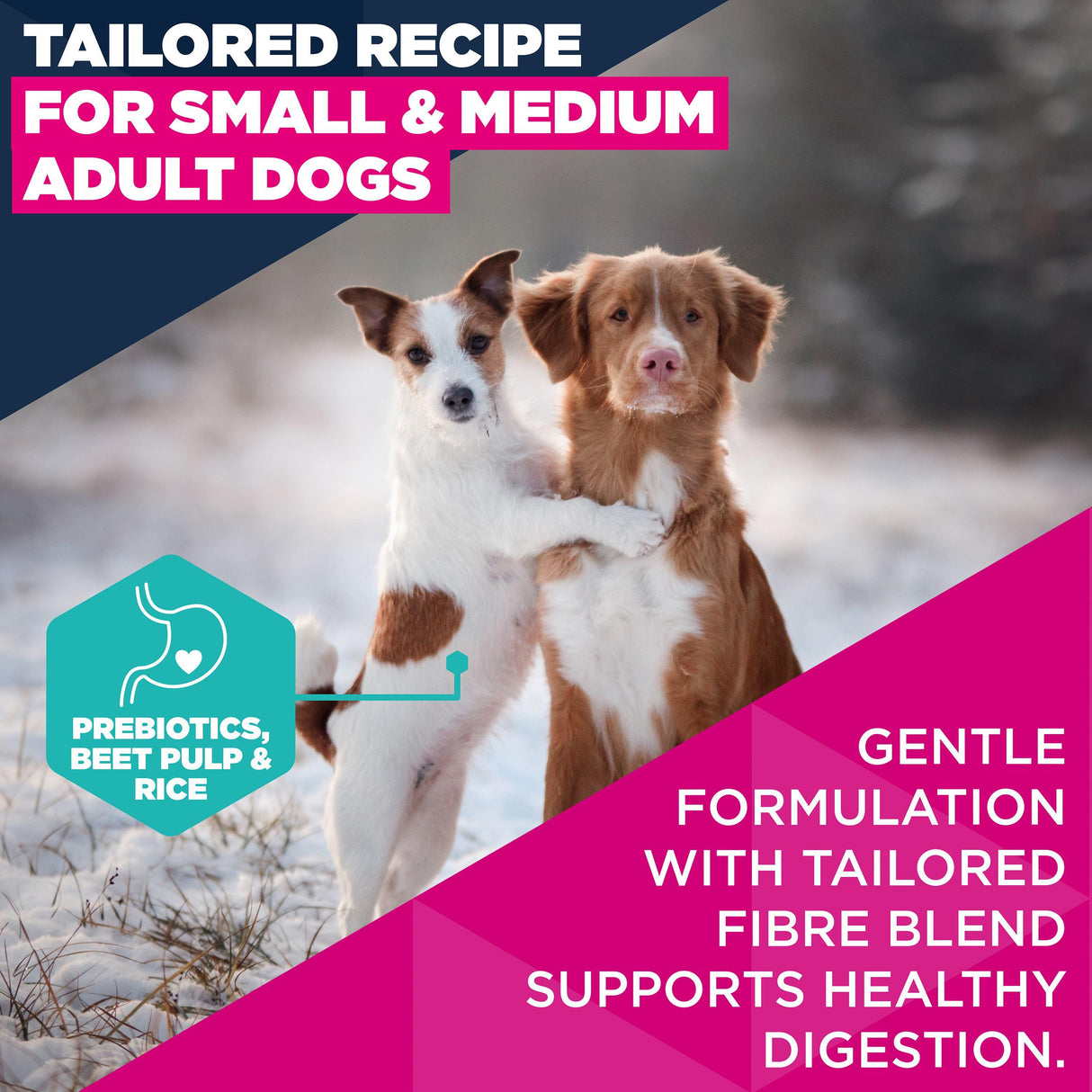 Eukanuba Small & Medium Breed Lamb & Rice Dry Dog Food - 12kg