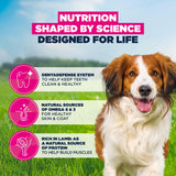Eukanuba Small & Medium Breed Lamb & Rice Dry Dog Food - 12kg