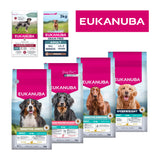 Eukanuba Adult Dry Dog Food – Breed Specific, Daily Care & Performance Recipes