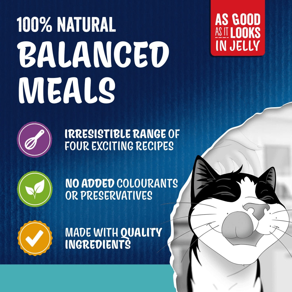 Felix As Good As it Looks Ocean Feasts Wet Cat Food - 120 x 85g