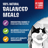 Felix As Good As it Looks Ocean Feasts Wet Cat Food - 120 x 85g