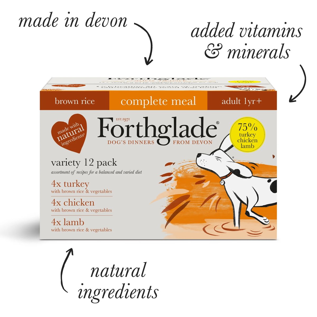 Forthglade Complete Adult Multicase with Brown Rice Turkey/Lamb/Chicken Dog Food - 12 x 395G