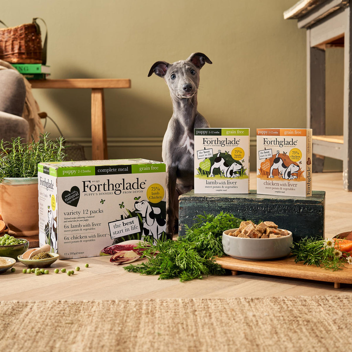 Forthglade Complete Puppy Grain Free Variety Lamb/Chicken with Liver, Sweet Potato & Veg Wet Dog Food - 12 x 395g