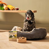 Forthglade Complete Senior Dog Grain Free Lamb with Butternut Squash & Veg Wet Dog Food - 18 x 395g