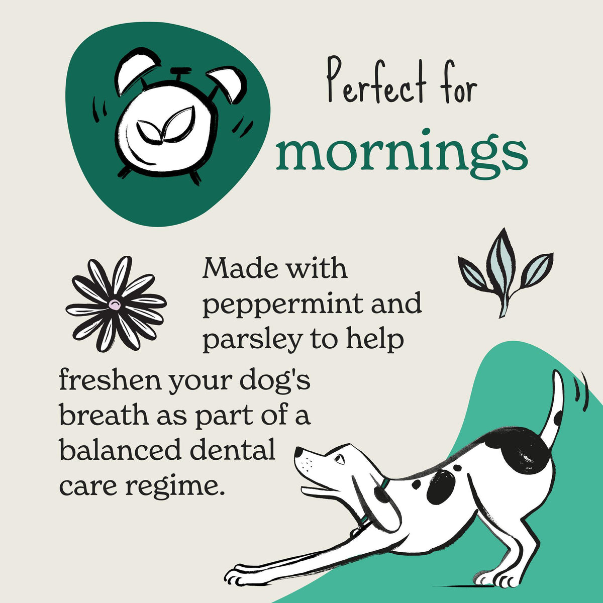 Forthglade Fresh Breath Grain-Free Functional Soft Bite Dog Treats - 90g