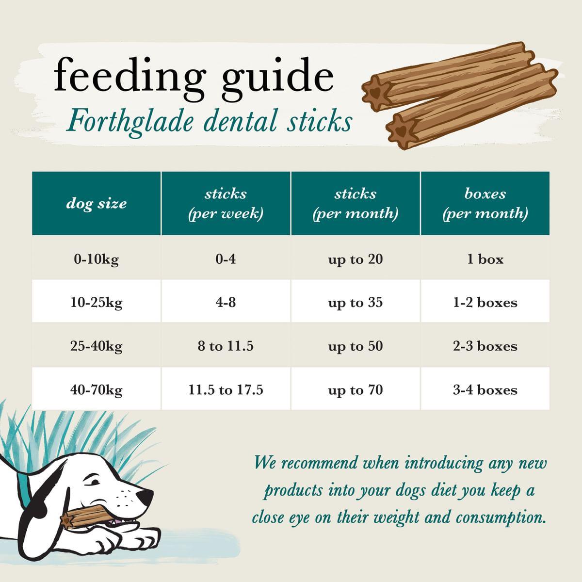 Forthglade Plant Based Grain Free Dental Sticks Dog Treats - 20 Pack