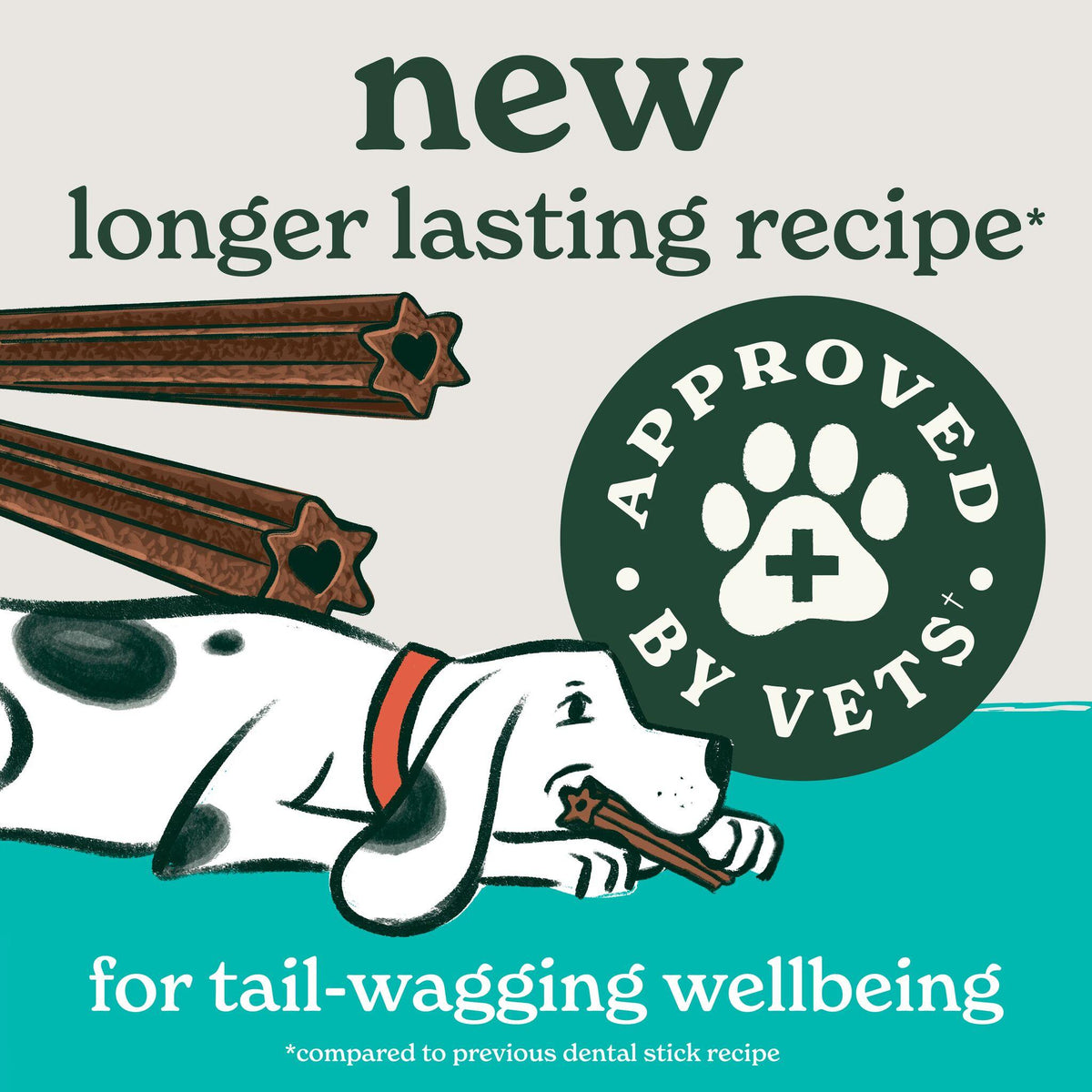 Forthglade Plant Based Grain Free Dental Sticks Dog Treats - 5 Pack