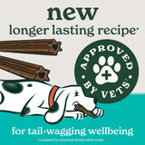 Forthglade Plant Based Grain Free Dental Sticks Dog Treats - 5 Pack