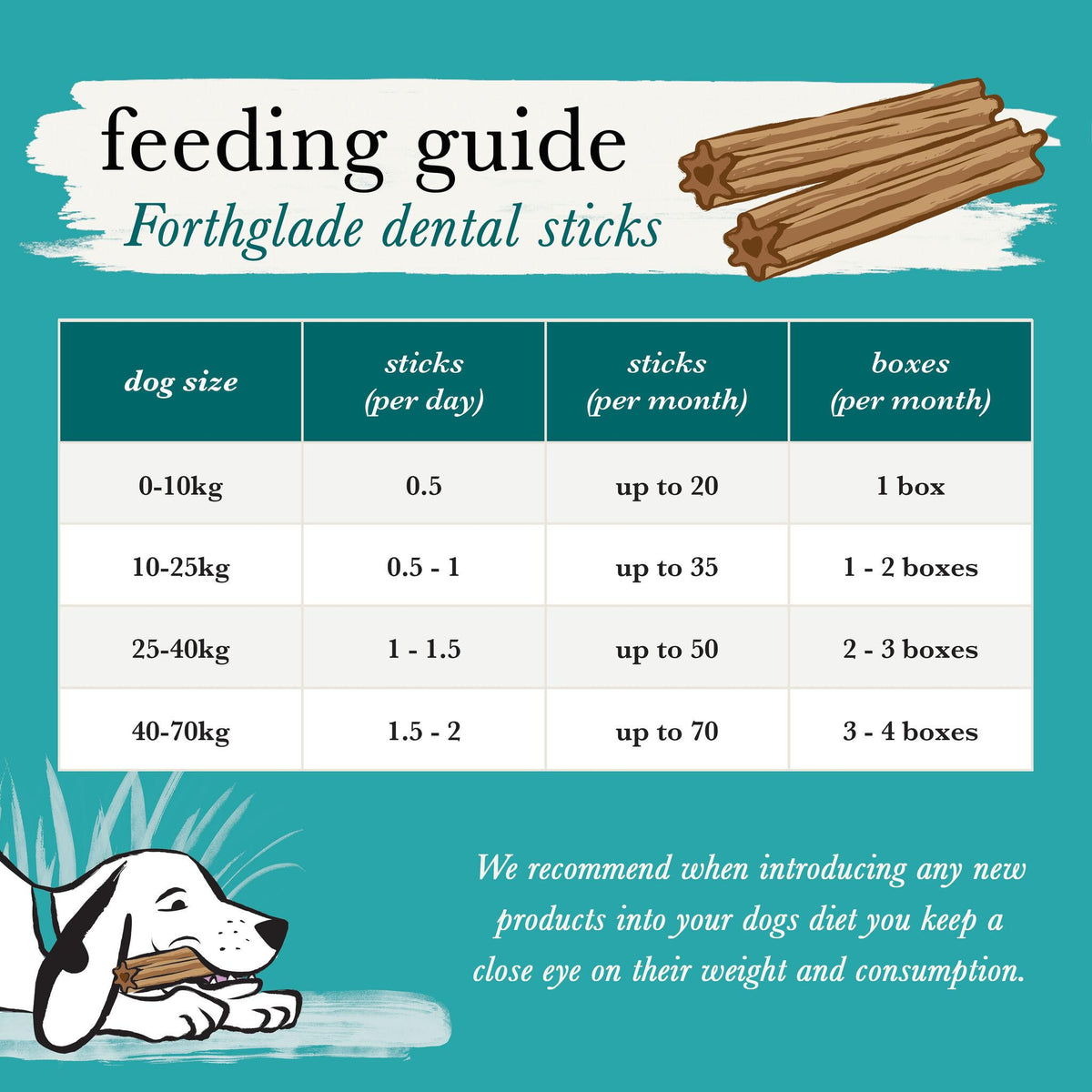 Forthglade Plant Based Grain Free Dental Sticks Dog Treats - 5 Pack