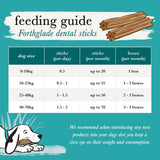 Forthglade Plant Based Grain Free Dental Sticks Dog Treats - 5 Pack