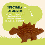 Good Boy Chompers Dental Dinosaur Chew