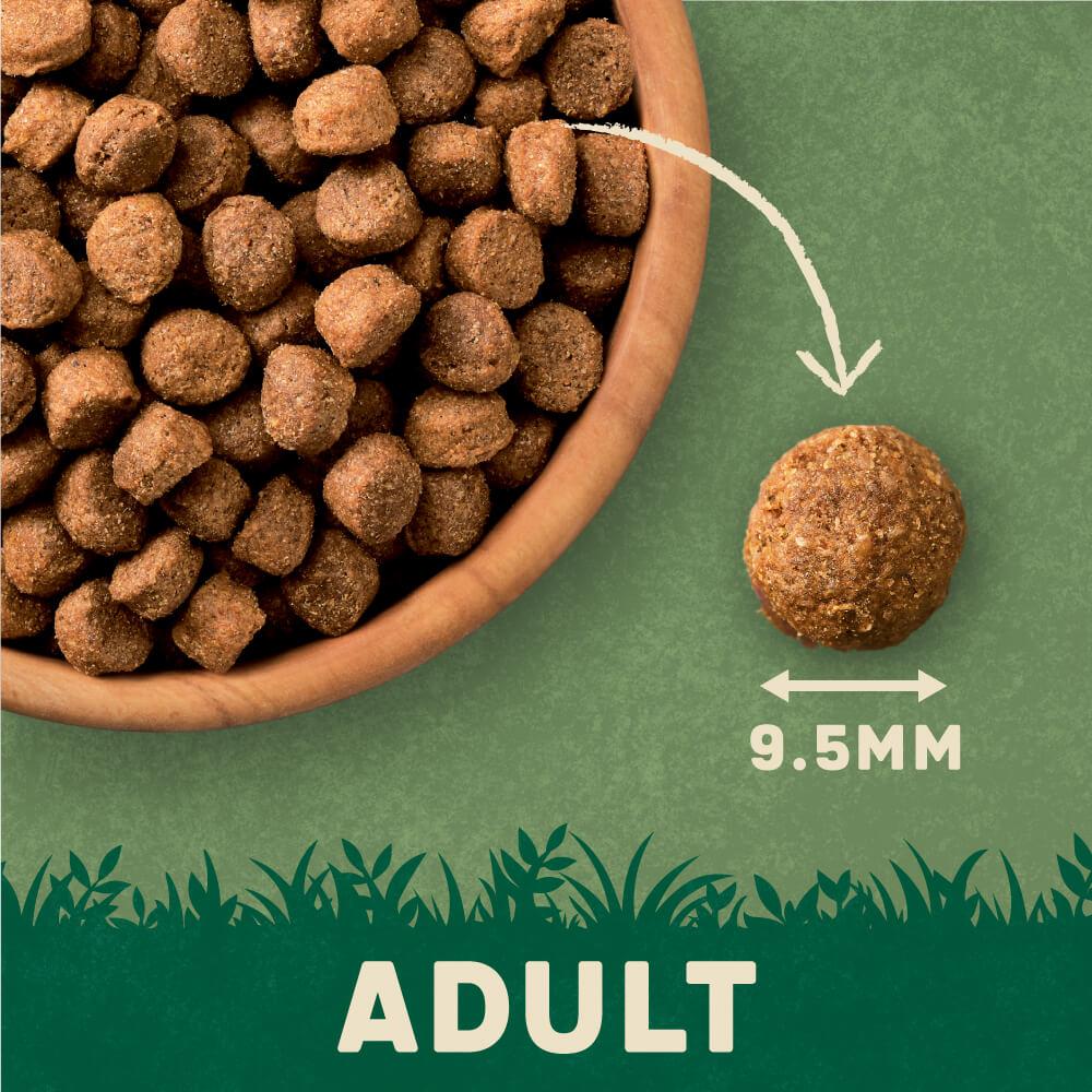 Harringtons Turkey Adult Dry Dog Food - 18kg