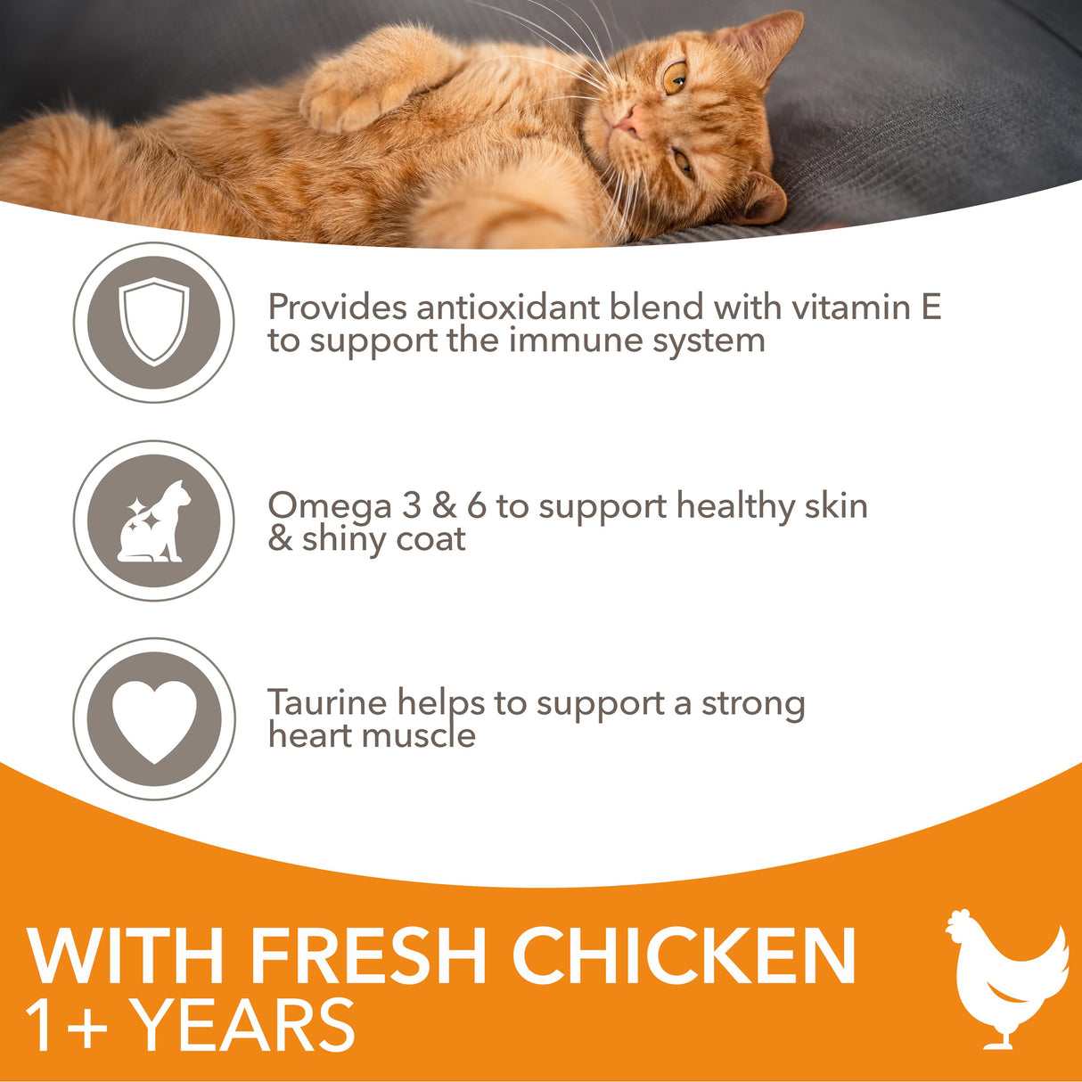 Iams Adult Chicken Dry Cat Food - 10kg