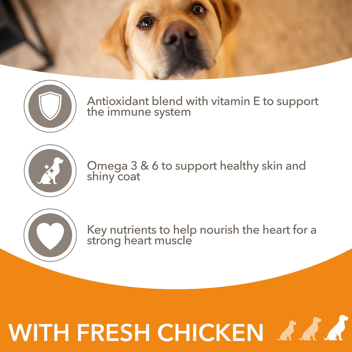 Iams Adult Large Breed Chicken Dry Dog Food - 12kg