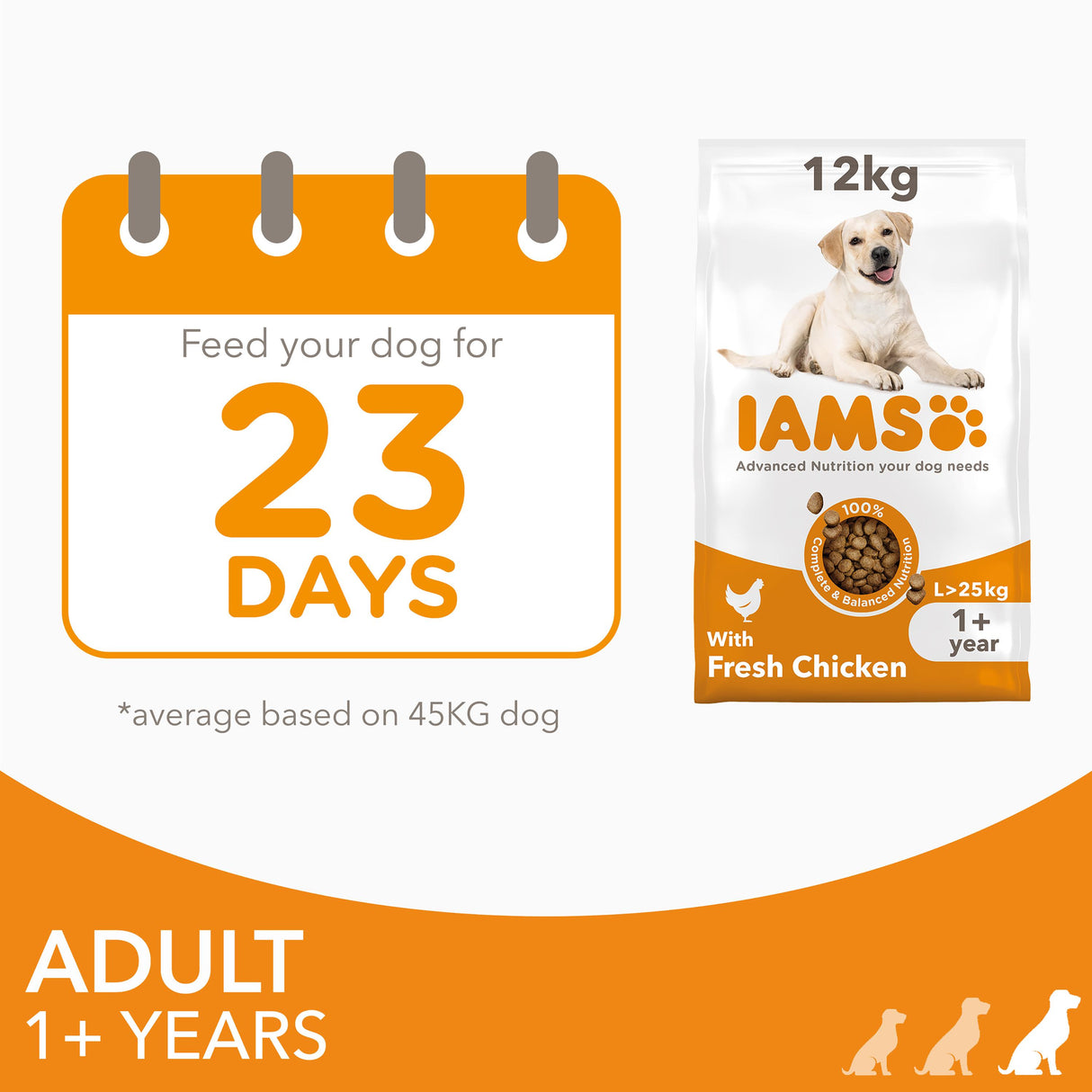Iams Adult Large Breed Chicken Dry Dog Food - 12kg