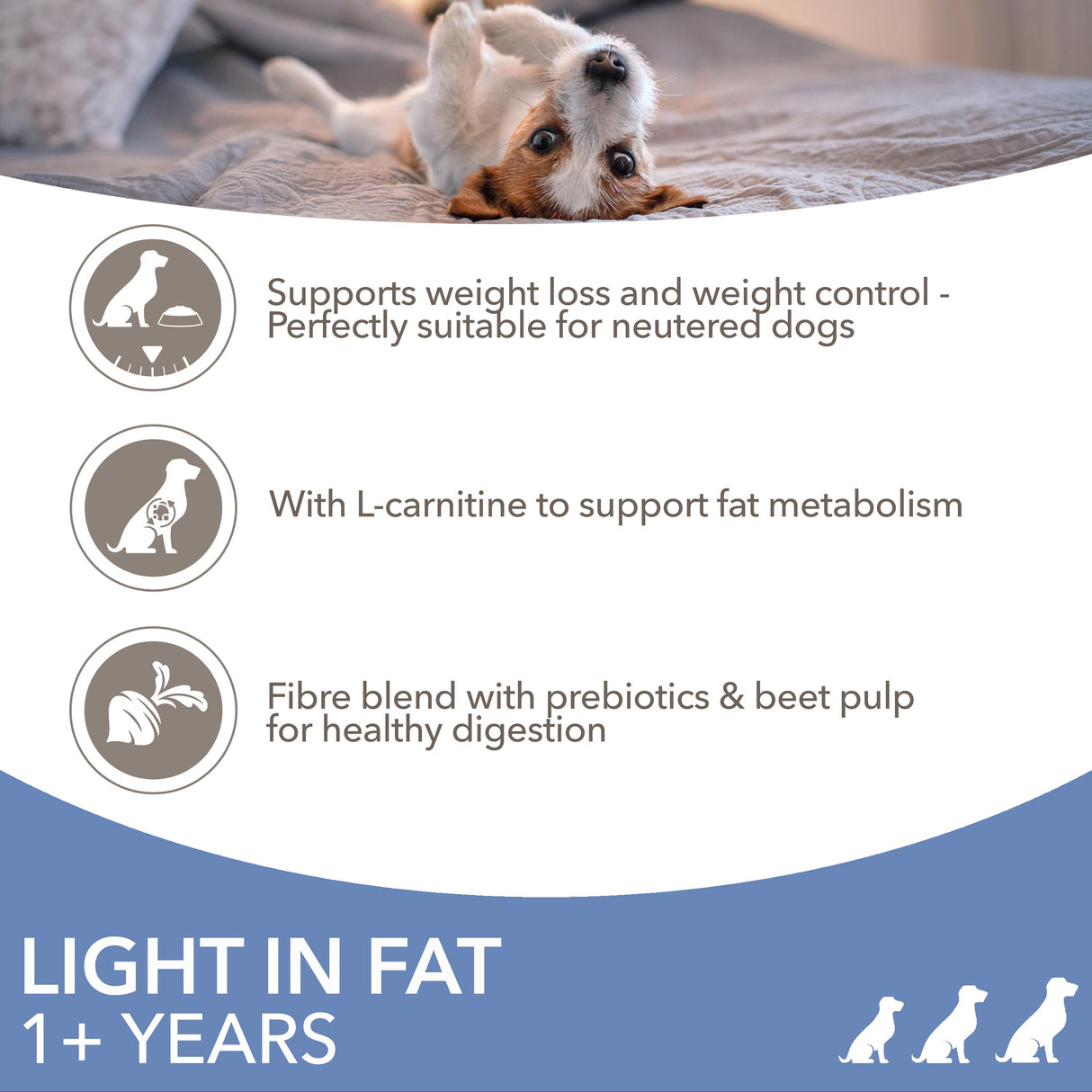 Iams or Vitality Light in Fat with Fresh Chicken Dry Dog Food - 12kg
