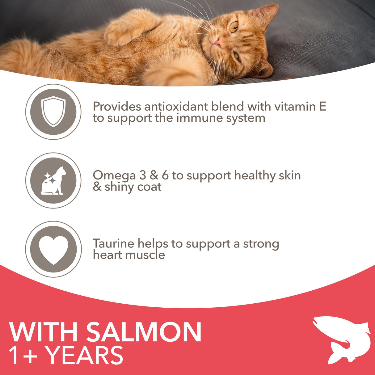 Iams Adult Salmon & Chicken Dry Cat Food - 3kg
