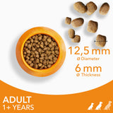 Iams Adult Vitality Small & Medium Dry Dog Food - 2kg
