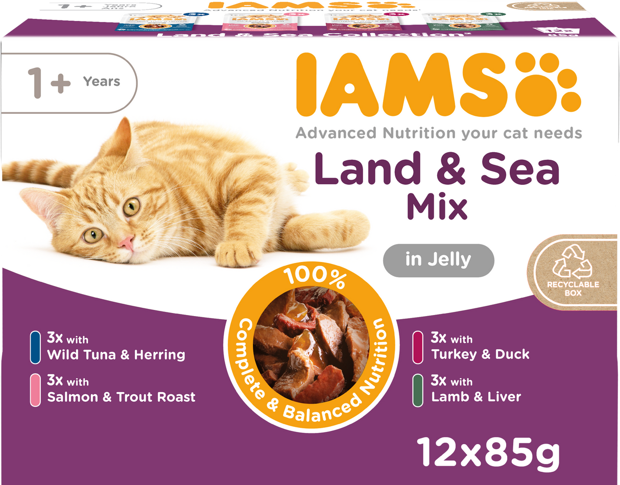 Iams Delights Land and Sea Collection in Jelly Cat Food -12