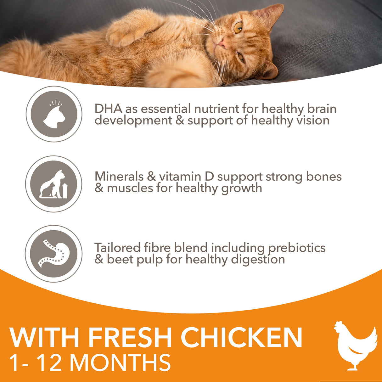 Iams For Vitality With Chicken Kitten Dry Cat Food - 10kg