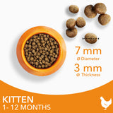 Iams For Vitality With Chicken Kitten Dry Cat Food - 10kg