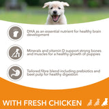 Iams for Vitality Large Breed Puppy With Fresh Chicken Dry Dog Food - 2Kg