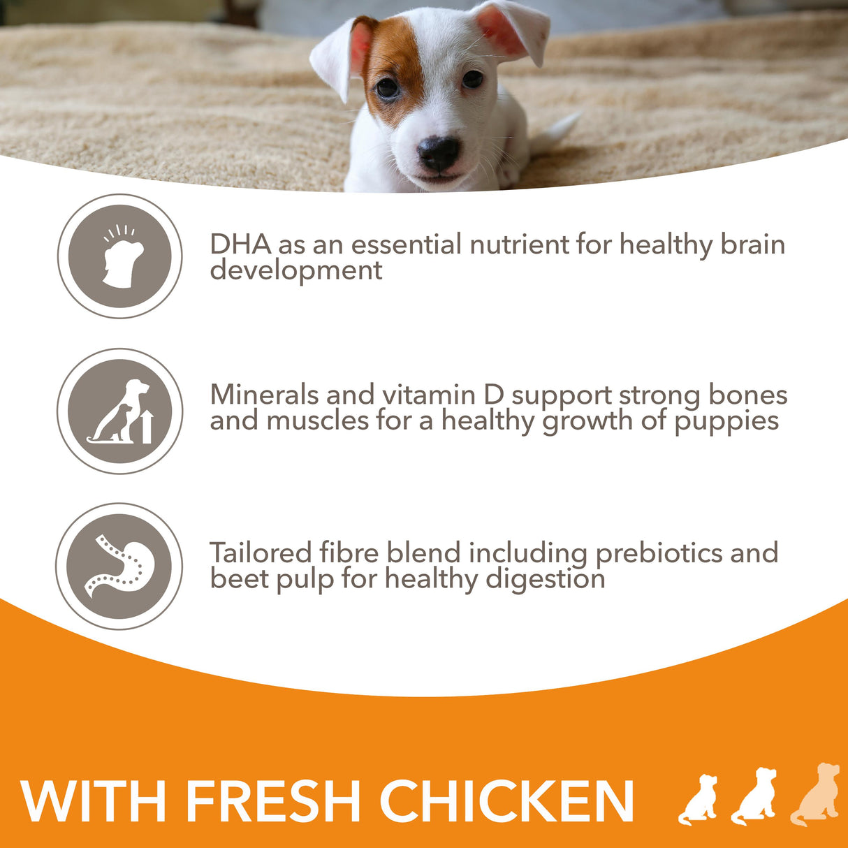 Iams for Vitality Small/Medium Breed Puppy With Fresh Chicken Dry Dog Food - 2kg