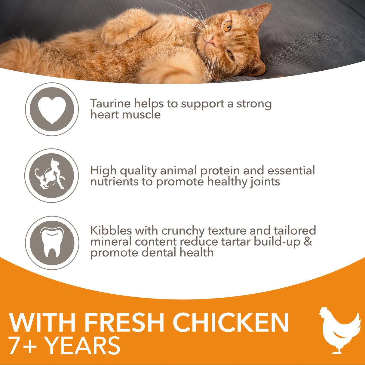 Iams For Vitality With Chicken Senior Dry Cat Food - 3kg