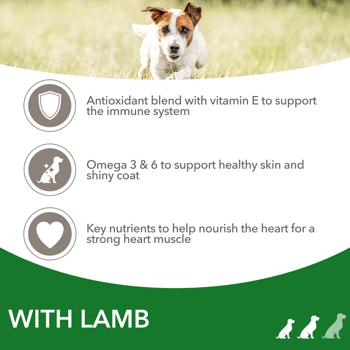 Iams for Vitality Small/Medium Breed Adult Lamb Dry Dog Food - 2kg