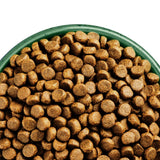James Wellbeloved Adult Dog High Protein Chicken & Turkey - 10kg