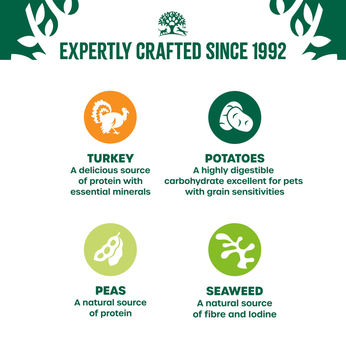 James Wellbeloved Grain Free Adult Dog Food Pouches Turkey in Gravy - 12x90g