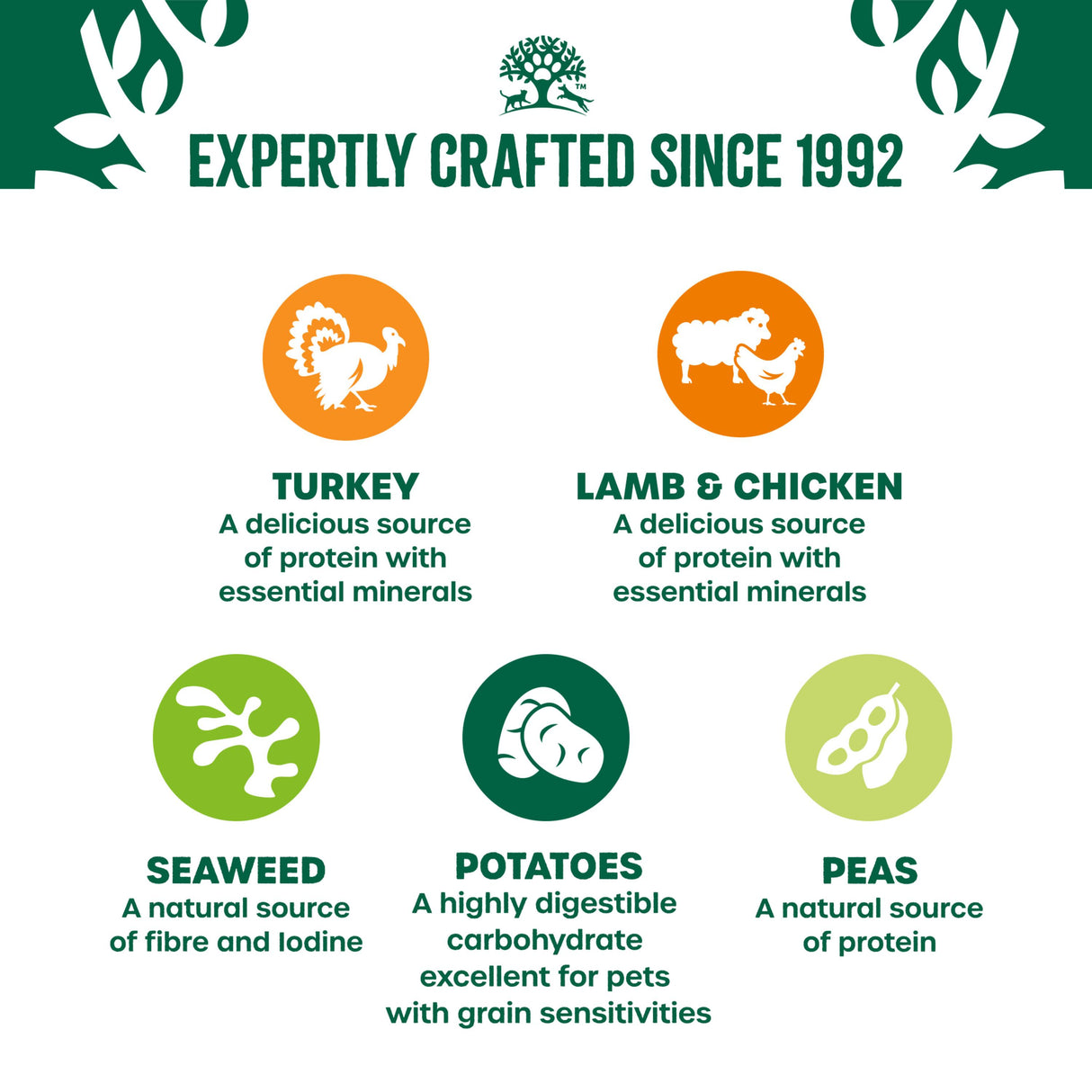 James Wellbeloved Grain Free Adult Turkey Lamb & Chicken Dog Food in Gravy - 48x90g