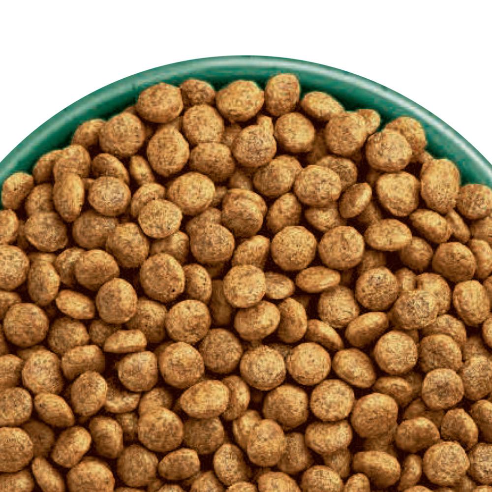 James Wellbeloved Grain Free Puppy/Junior Dry Dog Food Turkey & Veg - 1.5kg