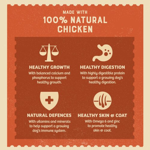 James Wellbeloved Puppy Chicken, Rice and Vegetable in Loaf Wet Dog Food Cans - 12 x 400g